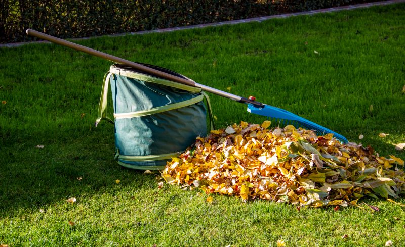 Bundles of Leaves Ready for Transport